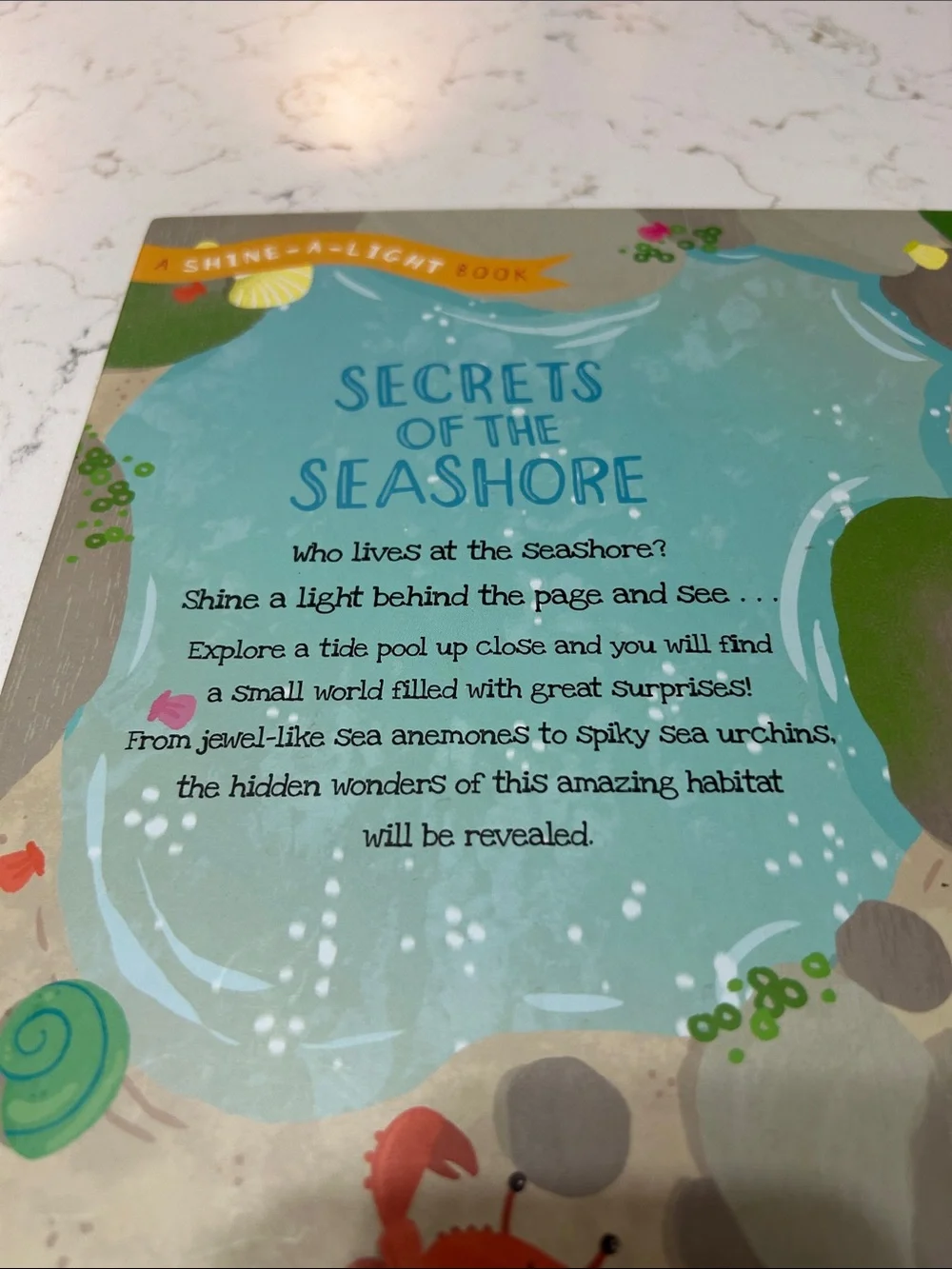Secrets of the Seashore - A Shine-A-Light Book (Blue)